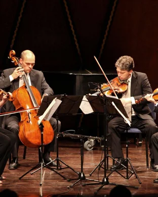 Sonic Live In Concert